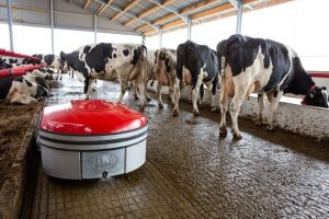 LE - Comment fonctionne le nouveau ‘robot aspirateur à lisier’ de Lely