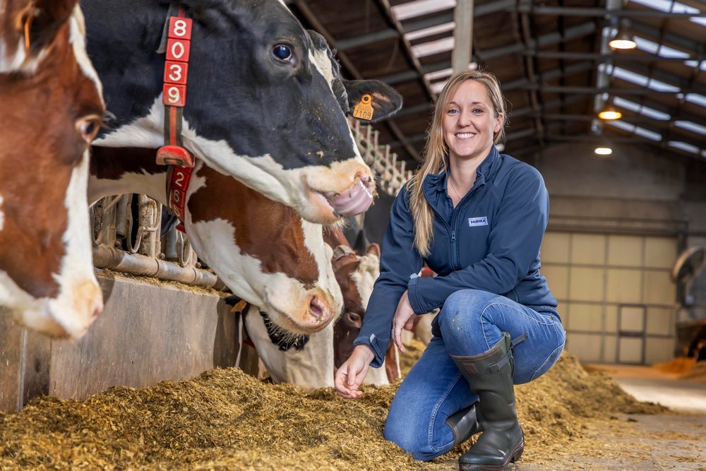 Dorothée Lieven, vétérinaire depuis 2014 et service technique chez Hipra depuis 5 ans