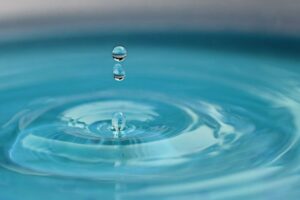 Quels sont les risques associés à l’eau pour les bovins ?