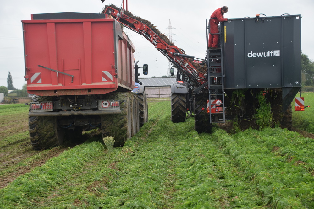 La roue gauche de l’arracheuse se trouve au milieu des deux roues du tracteur.