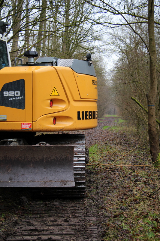 En fonction de la largeur choisie des chenilles, le R 920 Compact est presque une machine à rayon de braquage zéro. Cette compacité est pratique lorsque l'on travaille sur des chemins forestiers comme celui-ci.