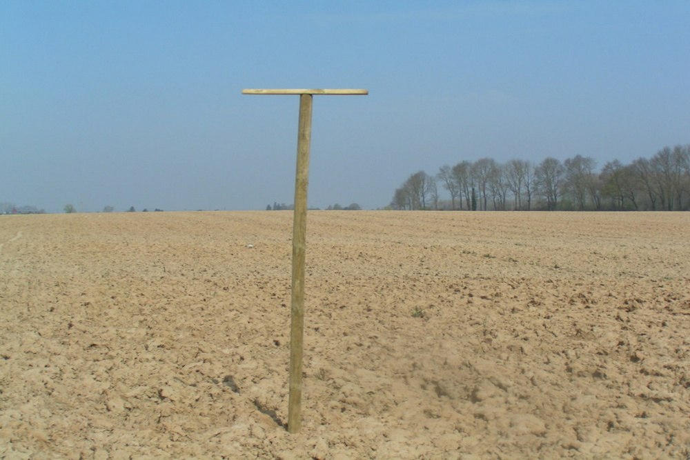 Contrôle naturel des populations de mulots par les rapaces