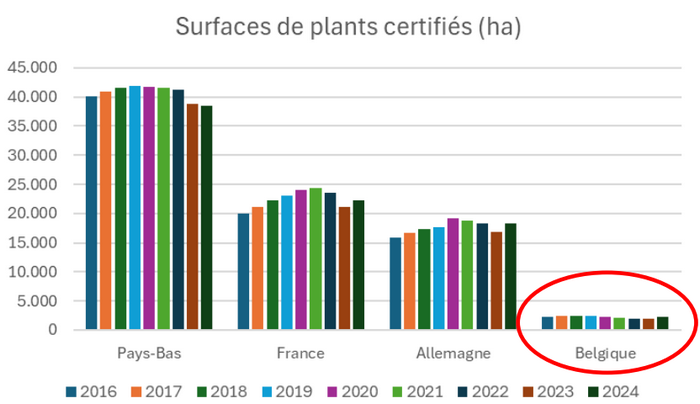 Par rapport à nos pays voisins, la production de plants en Belgique est très faible.
