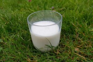 La production annuelle de lait en Belgique en 2024 est de 4.350 millions de litres de lait, soit -0,8% qu’en 2023