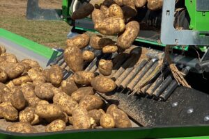 Belpotato.be demande l’exécution correcte des contrats signés