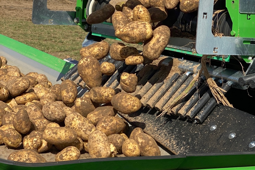 Belpotato.be demande l’exécution correcte des contrats signés