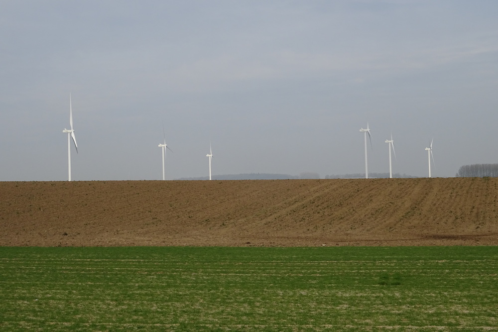 Décision sur la suspension des produits à base de prosulfocarbe