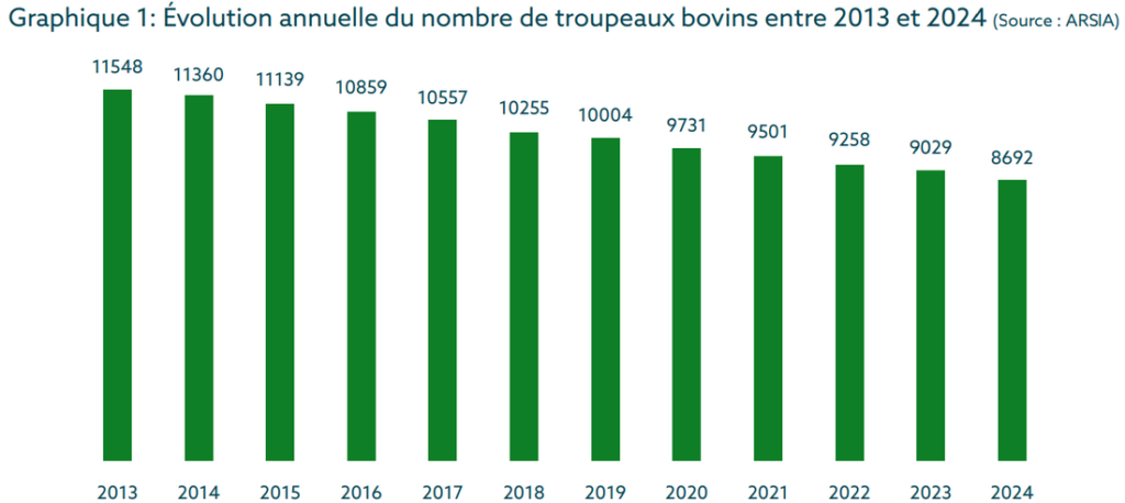  Évolution annuelle du nombre de troupeaux bovins entre 2013 et 2024 (Source : ARSIA)