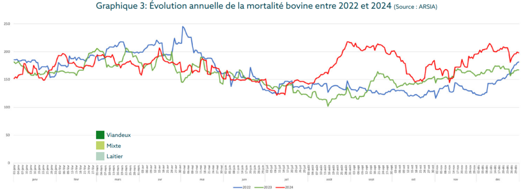Évolution annuelle de la mortalité bovine entre 2022 et 2024 (Source : ARSIA)