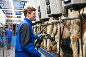 DeLaval fait passer la traite en salle conventionnelle à un niveau supérieur