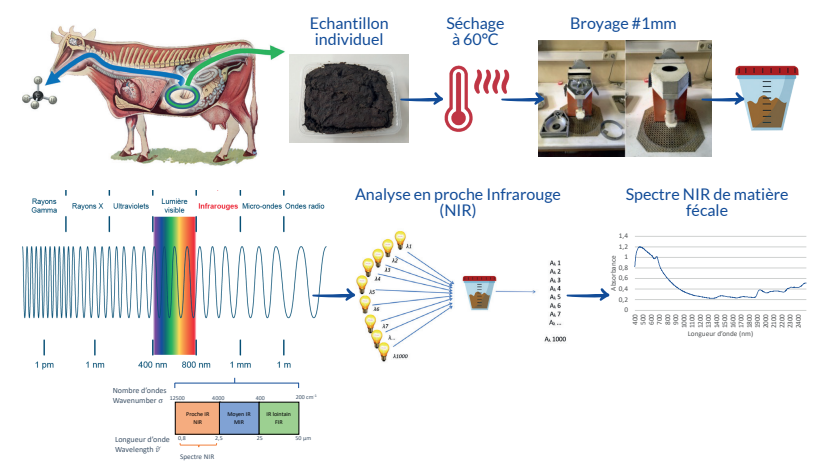 Produire de la viande durablement, c’est possible !

Méthode pour déterminer les émissions de méthane des animaux.