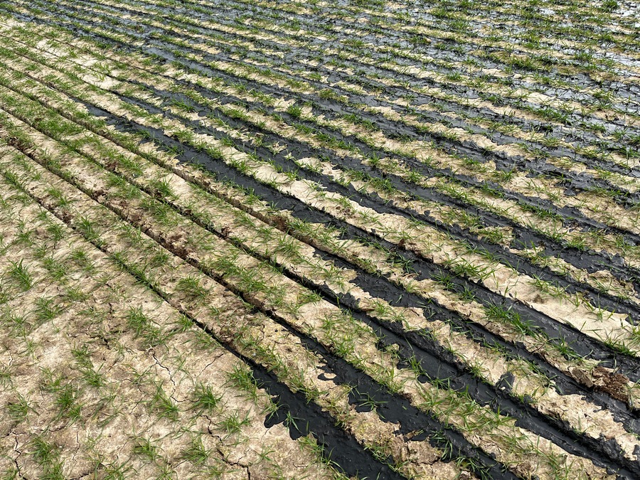 Leuridan Agro Logistics : La rampe est équipée de coupures de sections. 
