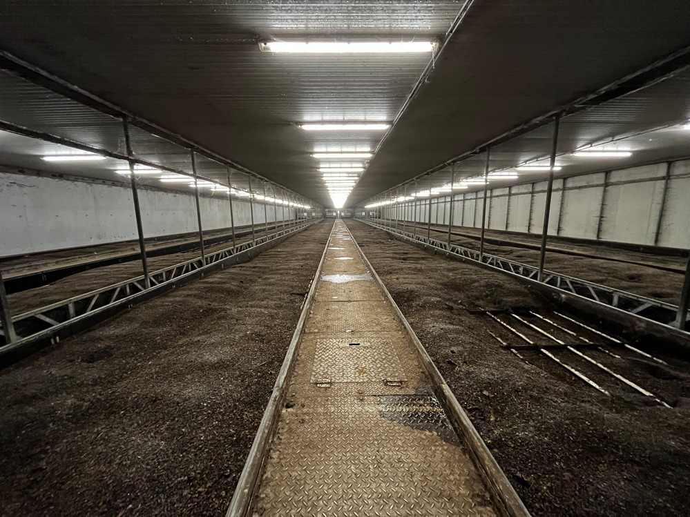 Aperçu du hall de production de Pur Ver. Naturellement, la température du hall de production est de 25°c suite à la dégradation de la matière organique. Cette chaleur est récupérée, notamment pour faire sécher le lombricompost.