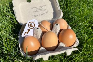 Augmentation du prix des œufs : explications et tendances du marché