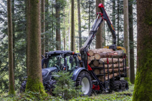 Horsch forestier