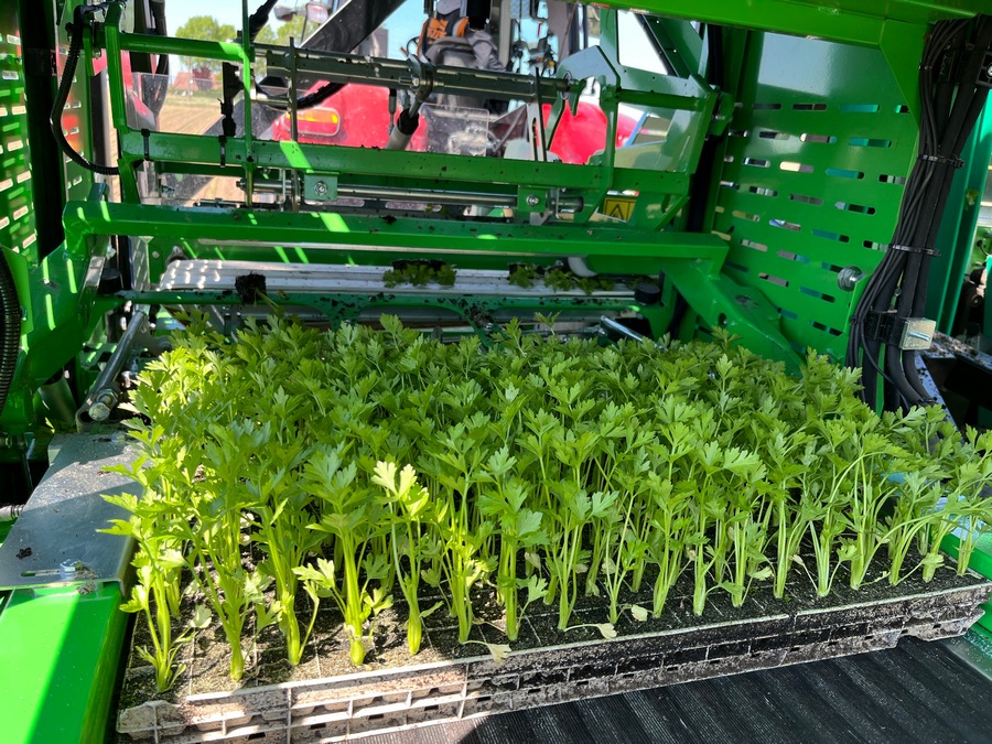 Placer les plateaux sur les tapis d’alimentation est la seule opération qui doit être réalisée manuellement.