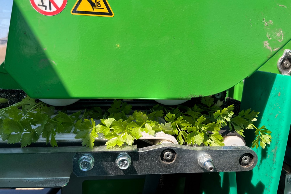 … Un peu plus loin, un système de capteur assure qu’il y ait une plante dans chaque mini-motte et comble les manques si nécessaire.