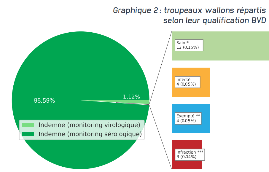 Troupeaux wallons répartis selon leur qualification BVD.