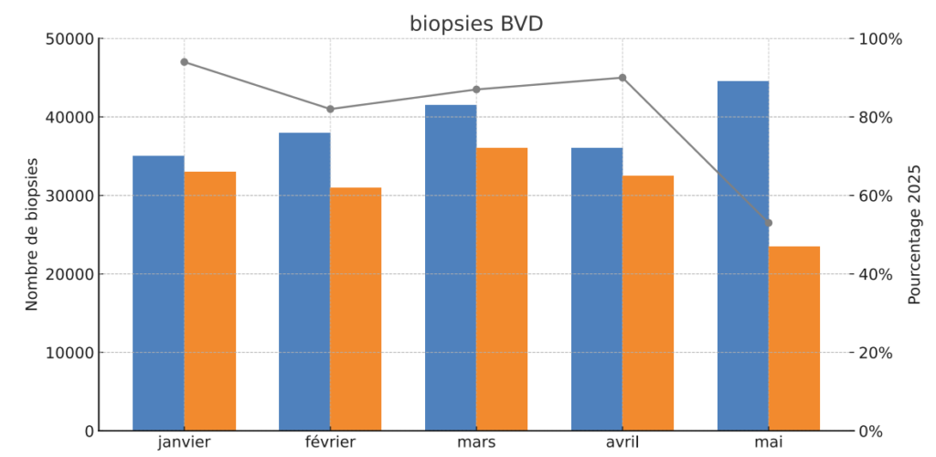 L'évolution des biopsies BVD, reçues au laboratoire de l'ARSIA en 2024 et 2025 et entre janvier et mai.