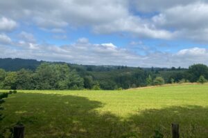 Santé végétale des forêts et des espaces verts.