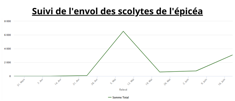 Un dispositif de piégeage est déployé chaque année en Wallonie. Les pièges permettent d'attirer les scolytes grâce à un attractif de synthèse. Ces pièges sont relevés toutes les deux semaines, du 15 mars au 30 octobre, afin de suivre les périodes d'émergence des insectes. Données ouvertes, licence CC BY