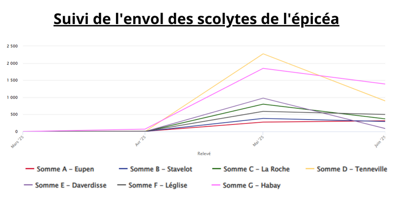 Un dispositif de piégeage est déployé chaque année en Wallonie. Les pièges permettent d'attirer les scolytes grâce à un attractif de synthèse. Ces pièges sont relevés toutes les deux semaines, du 15 mars au 30 octobre, afin de suivre les périodes d'émergence des insectes. Données ouvertes, licence CC BY