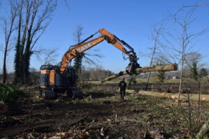 Travailler en forêt : une question de vigilance et de confiance