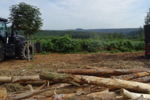 Le changement climatique en forêt