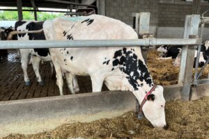 Le secteur laitier renforce son rôle de partenaire durable et orienté vers la qualité