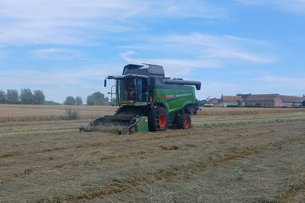 La Fendt 5275c est aussi utilisée pour récolter des semences de ray-grass.