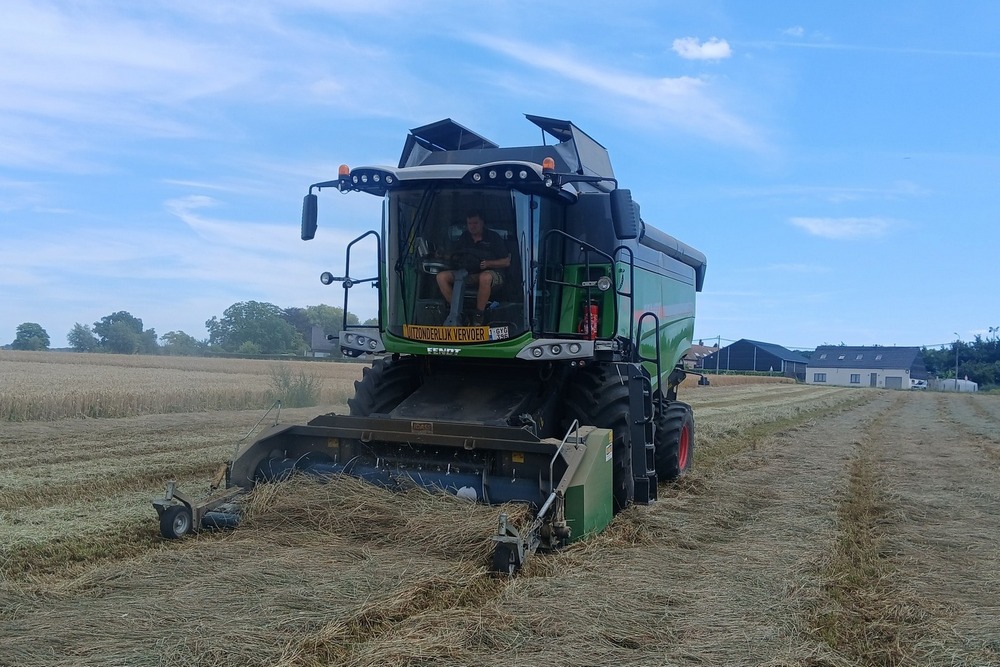 La Fendt 5275c est aussi utilisée pour récolter des semences de ray-grass.