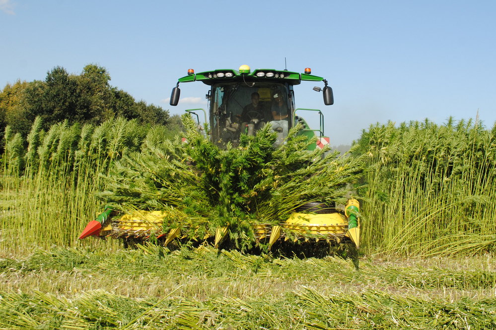John Deere a également fait une démonstration en 2023 avec une ensileuse similaire.  