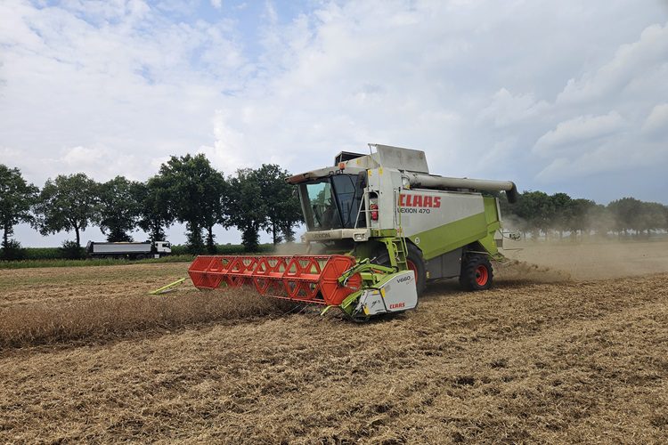 Le 26 juillet, la parcelle a pu être récoltée, avec un rendement de 5,3 tonnes par hectare.