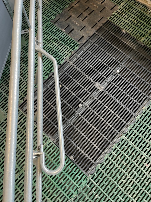 Des barres anti-couchage ont été installées sur les bords de chaque loge et au niveau de la cage dédiée à la truie. Elles permettent à la truie de se coucher progressivement sans écraser les porcelets.
