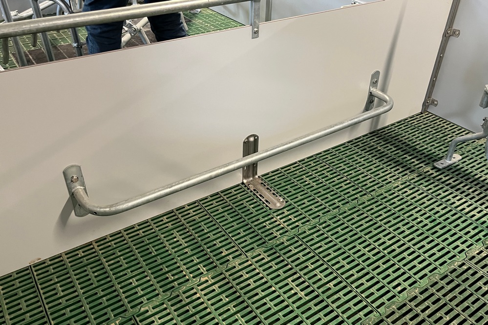 Des barres anti-couchage ont été installées sur les bords de chaque loge et au niveau de la cage dédiée à la truie. Elles permettent à la truie de se coucher progressivement sans écraser les porcelets.