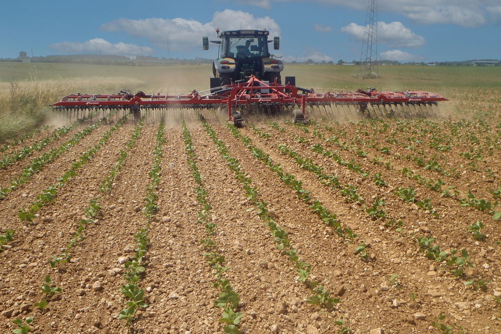 La Kverneland Arcadia permet de lutter contre les adventices grâce au désherbage à l’aveugle.