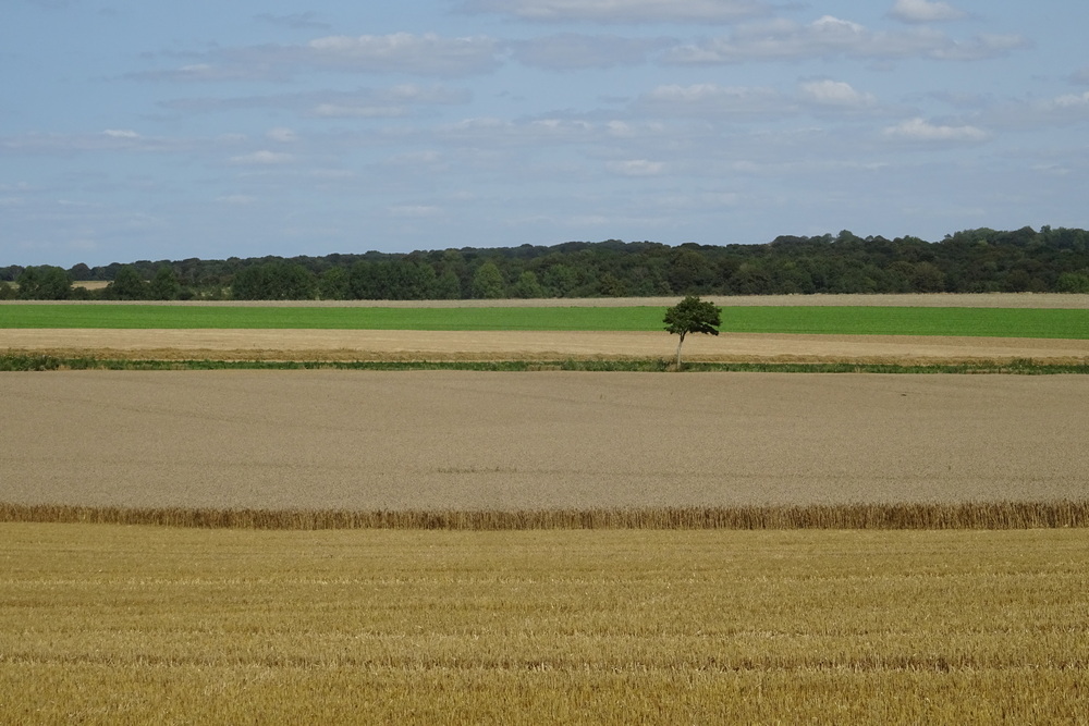 L’Union européenne trouve un accord sur les nouvelles techniques génomiques