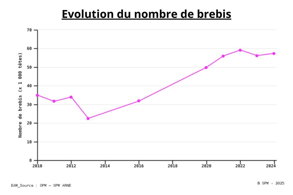 Évolution du nombre de brebis