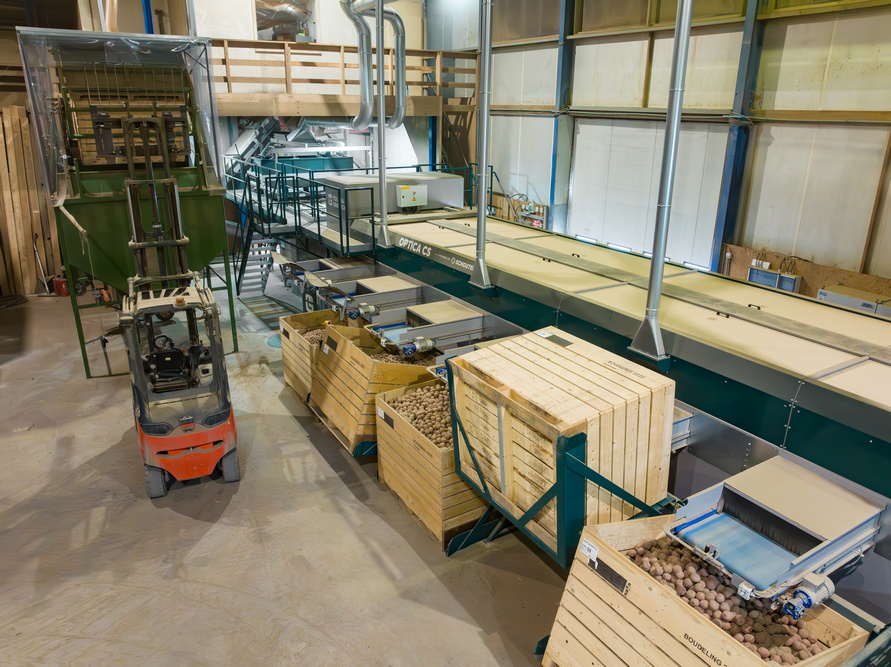 Au moment de notre visite, l’Optica CS de Boudeling trie sur cinq calibres, les deux calibres les plus courants disposant chacun d’une double sortie. Le calibre 45/55 est dirigé directement vers l’Optica Q via un bunker tampon.