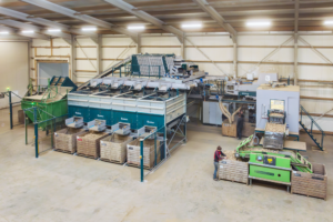 Tri optique sur deux lignes différentes : flexibilité et capacité avec les Optica CS et Q