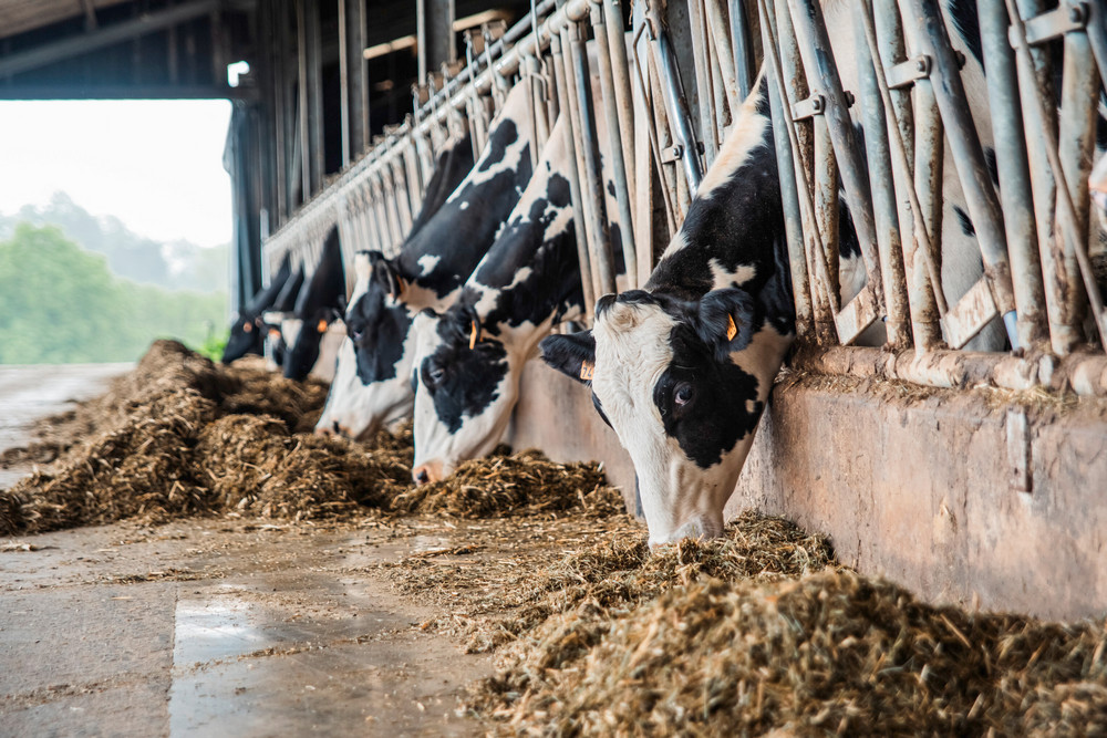 © Collège des Producteurs.