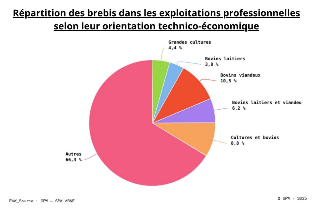 Répartition des brebis dans les exploitations professionnelles selon l’OTE