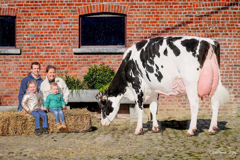 La ferme Pussemier associe génétique, robot de traite et confort pour un élevage performant et à taille humaine