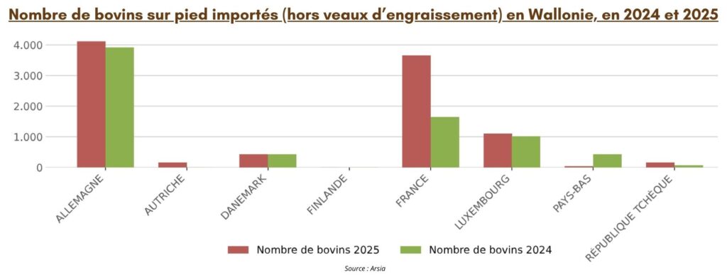 Nombre de bovins sur pied importés (hors veaux d’engraissement) en Wallonie, en 2024 et 2025