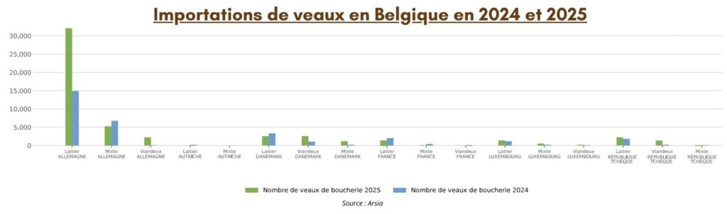 Importations de veaux en Belgique en 2024 et 2025