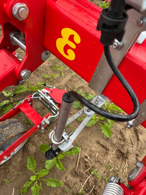 Sur la désherbineuse de Ginhoven – Verheyen, il est aussi possible de traiter les rangs de culture.