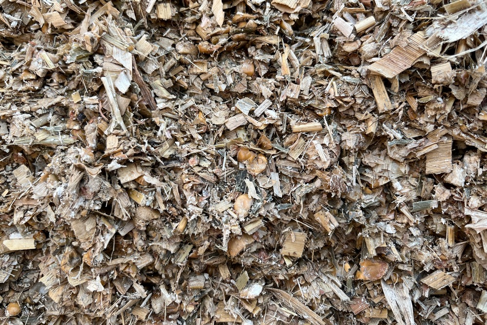 La ferme Crompot récolte son maïs quand il est déjà bien mûr. Cela permet aux vaches d’ingérer plus d’UFL.