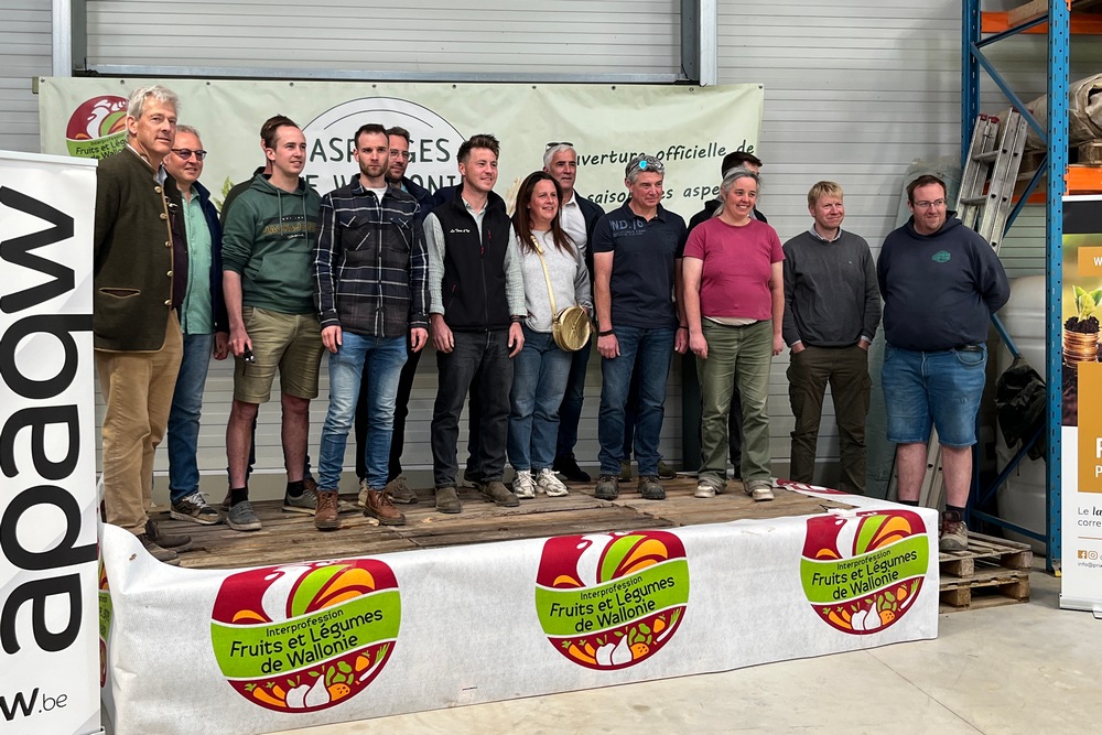 Les membres du groupement “Asperges de Wallonie” ont lancé la saison des asperges.