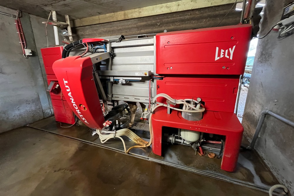 Trois robots Lely Astronaut permettent de traire les 200 vaches laitières de Bawagri.