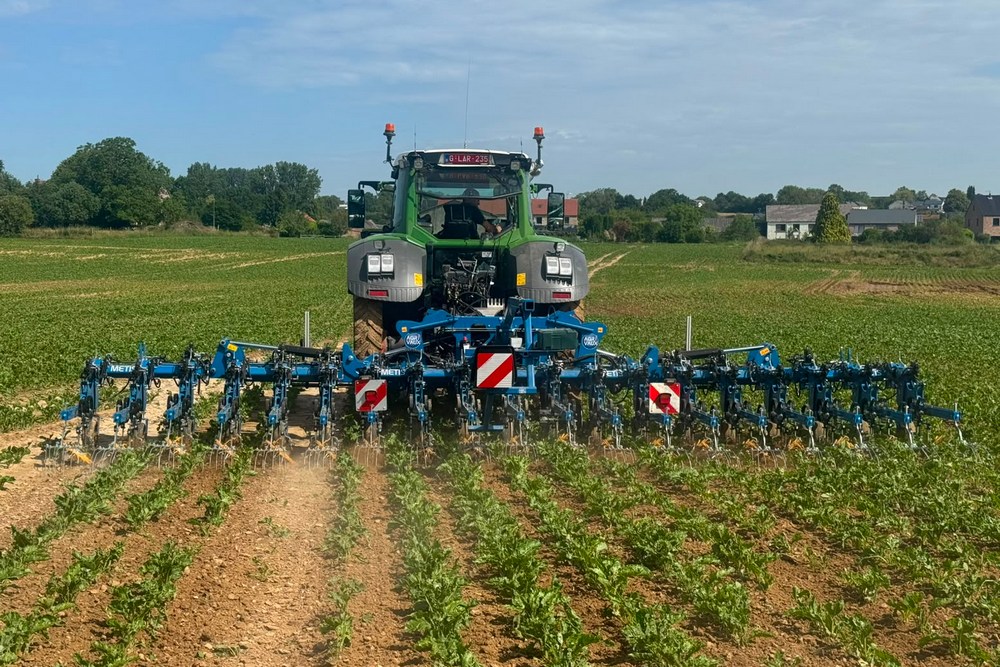 La bineuse Metis Vario peut travailler sur 12 ou 18 rangs.